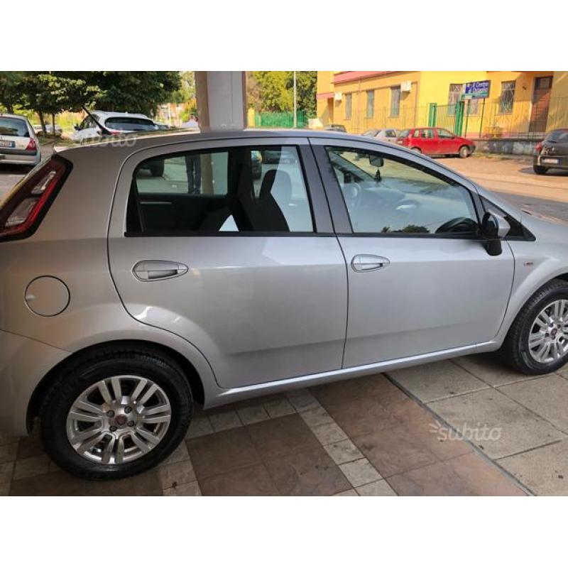 Fiat Punto Evo 2014 - 1.2 Lounge 69cv
