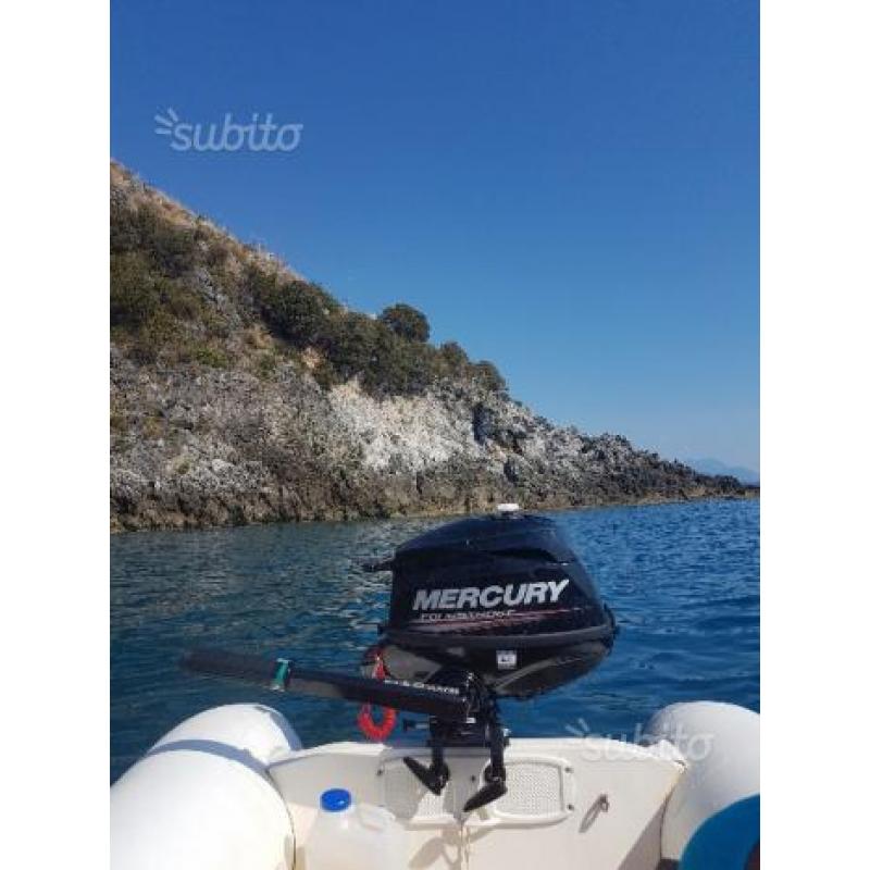 TENDER 2.90 metri + MERCURY 2.5 cv 4 Tempi
