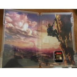 Zelda Switch