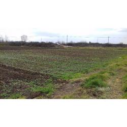 Terreno agricolo
