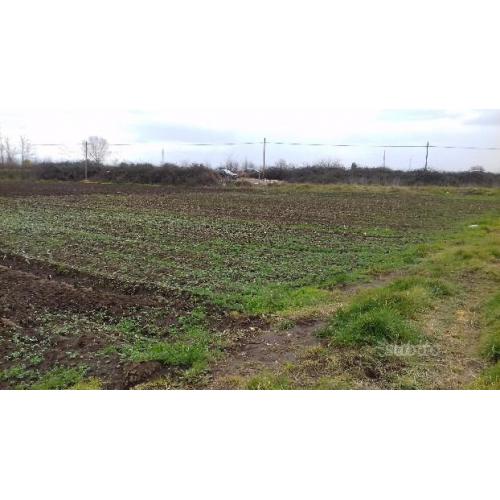 Terreno agricolo