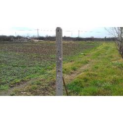 Terreno agricolo