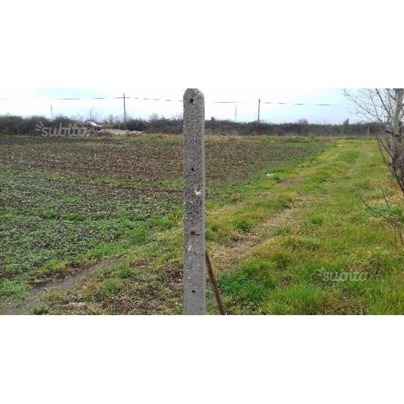 Terreno agricolo