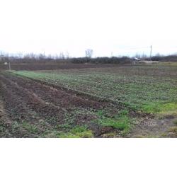 Terreno agricolo