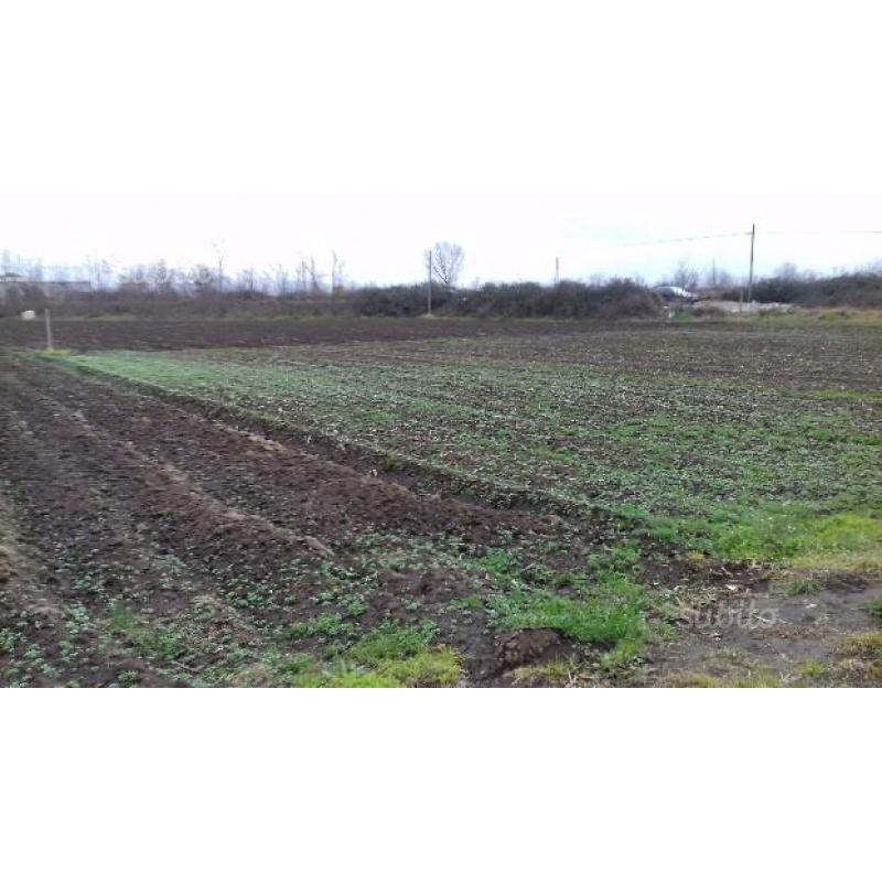 Terreno agricolo