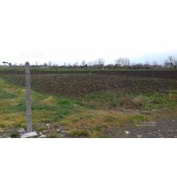 Terreno agricolo