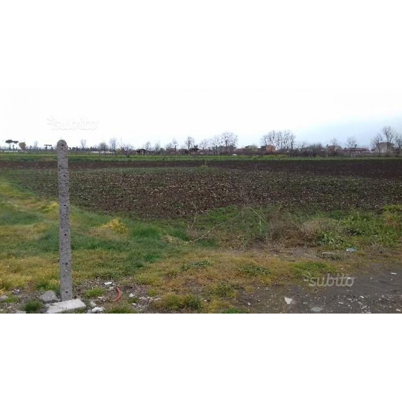 Terreno agricolo