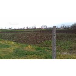 Terreno agricolo