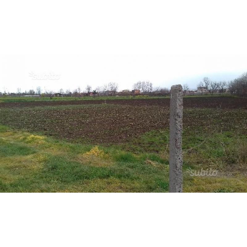 Terreno agricolo