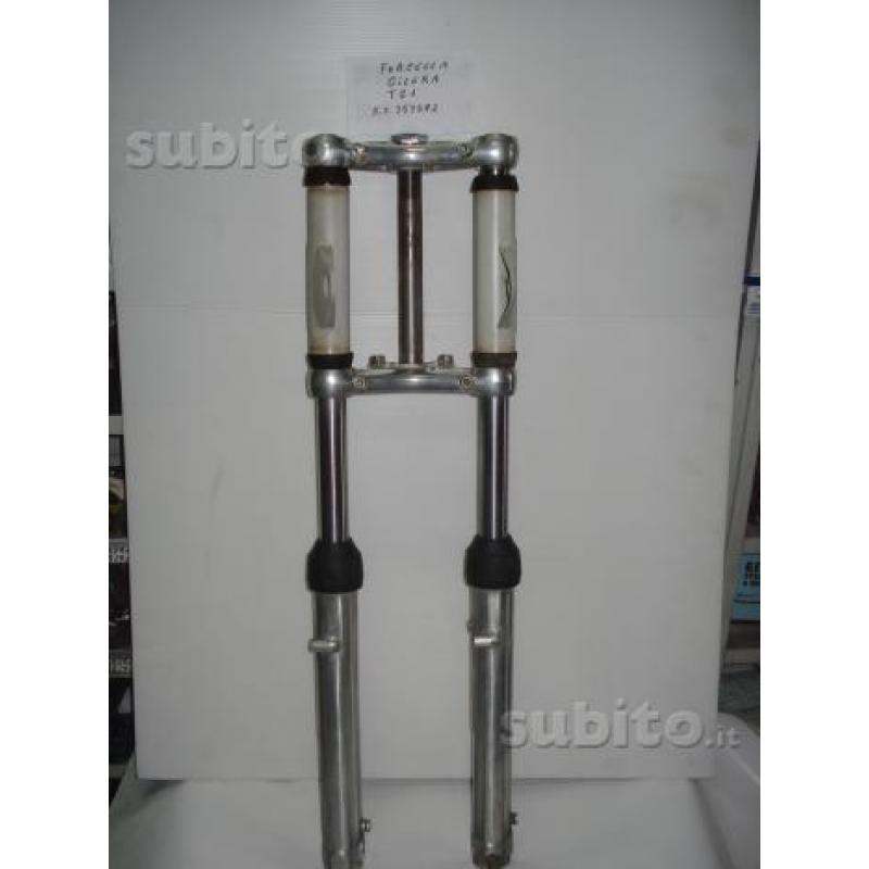 Forcella TG1 rif.353592