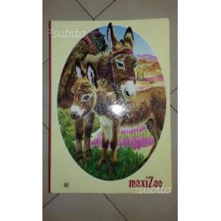 Libro gigante (34×48 cm)