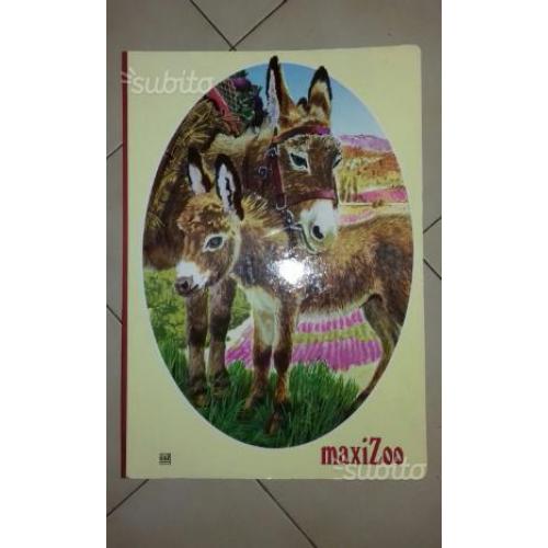 Libro gigante (34×48 cm)