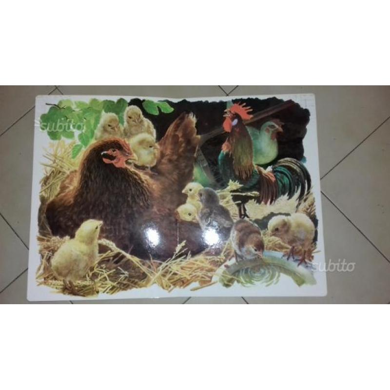 Libro gigante (34×48 cm)