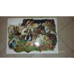 Libro gigante (34×48 cm)