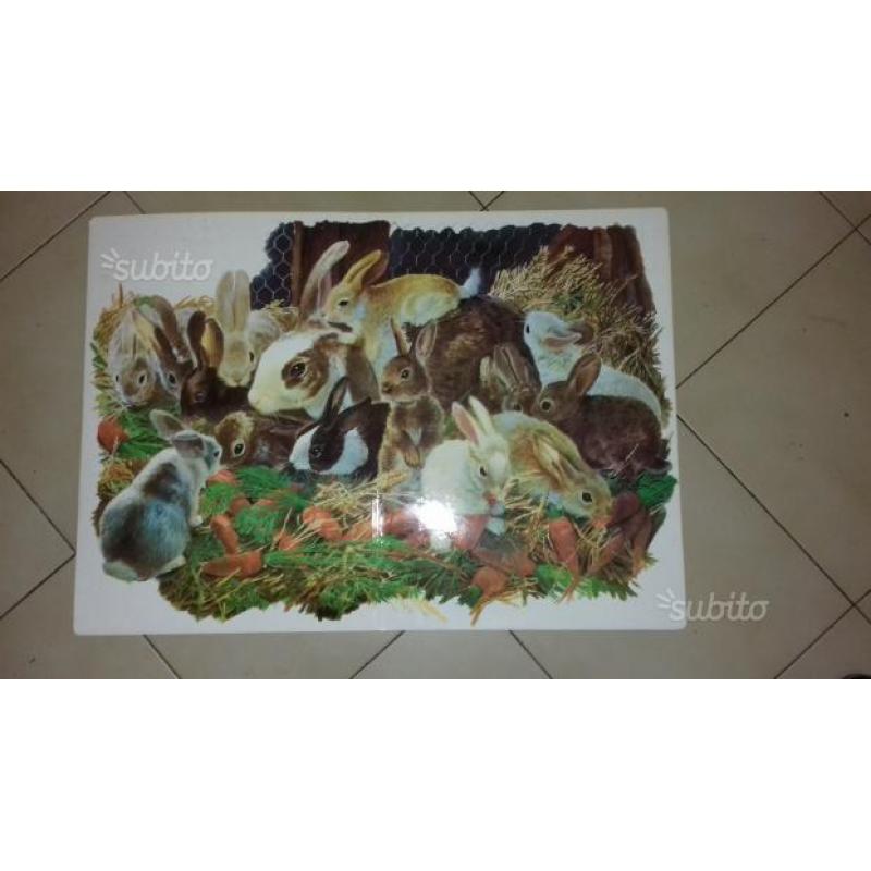 Libro gigante (34×48 cm)