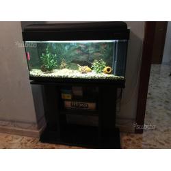 Acquario completo