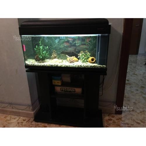 Acquario completo