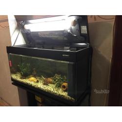Acquario completo