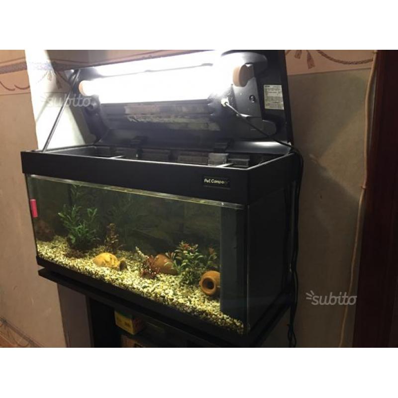 Acquario completo