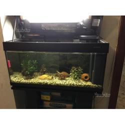 Acquario completo