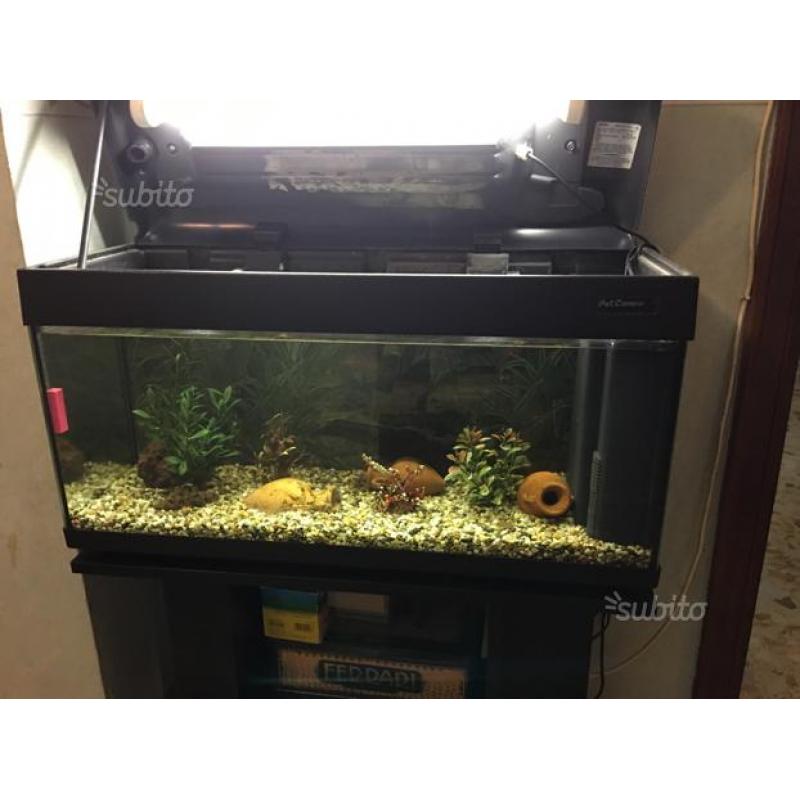 Acquario completo