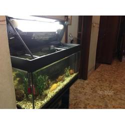 Acquario completo