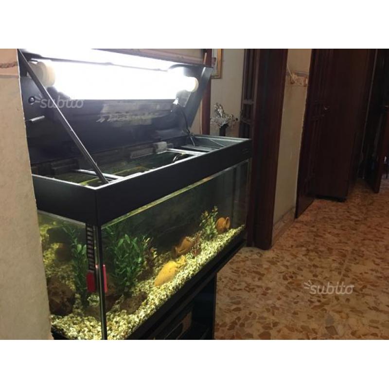 Acquario completo