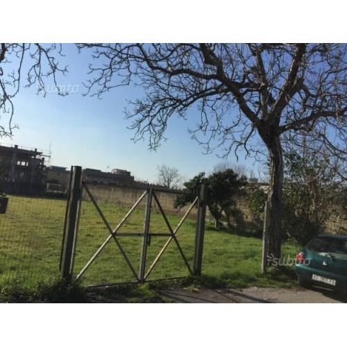Disponibile terreno