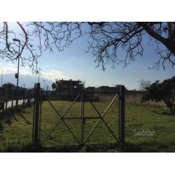 Disponibile terreno