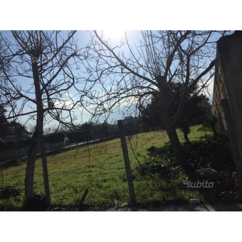Disponibile terreno