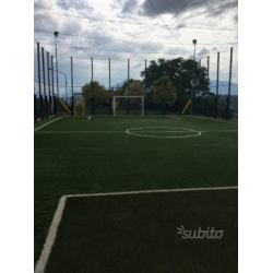 Erba Sintetica