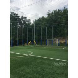 Erba Sintetica