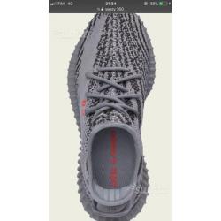Yeezy boost 350