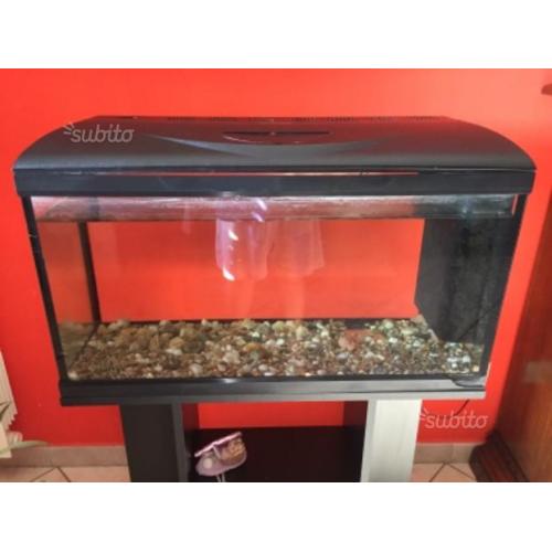 Acquario 200l