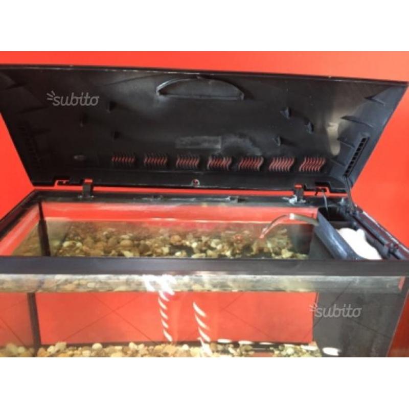 Acquario 200l