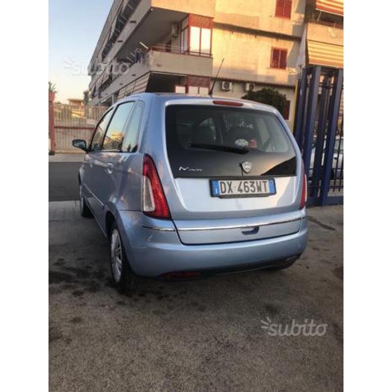 Lancia musa