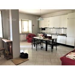 Appartamento arredato con terrazzo