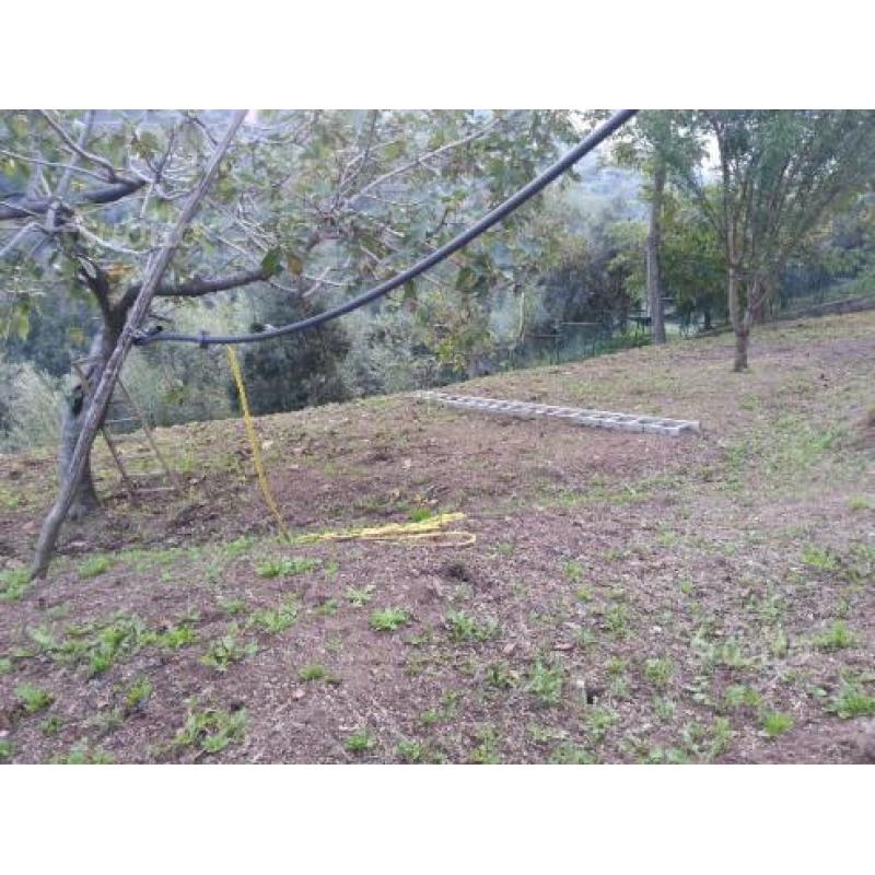 Terreno agricolo panoramico