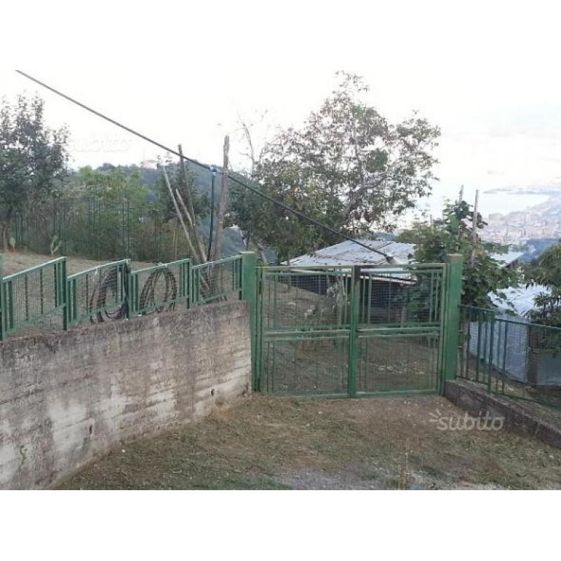 Terreno agricolo panoramico