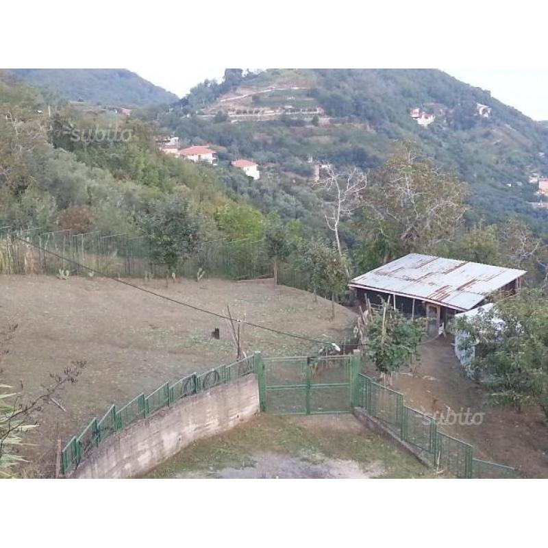 Terreno agricolo panoramico
