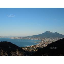 Terreno agricolo panoramico