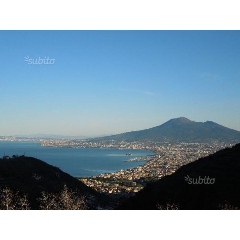 Terreno agricolo panoramico