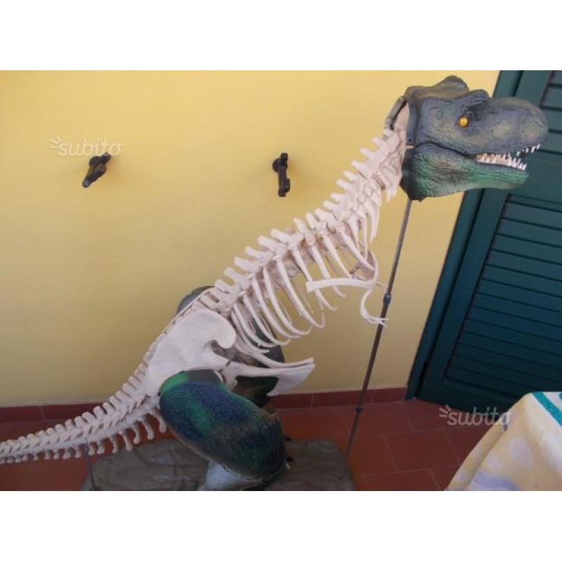 T REX da costruire