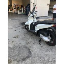 Honda sh 300 sport