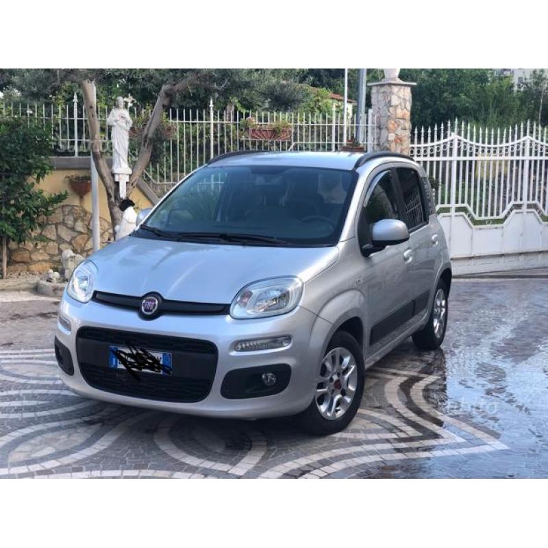 Panda