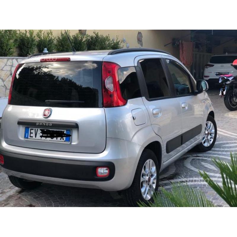 Panda