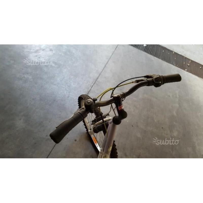 Bicicletta