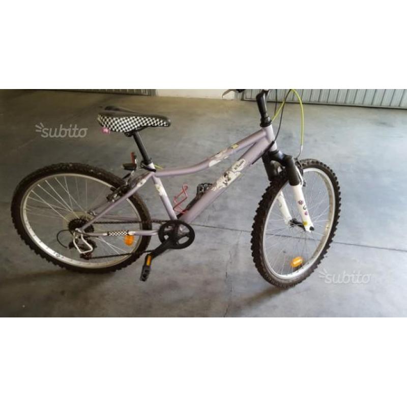 Bicicletta
