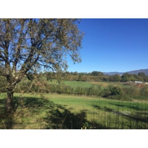 Terreno agricolo 20.000 mq Irriguo e pianeggiante