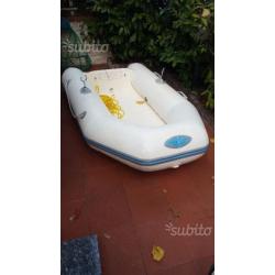 TENDER 2.90 metri + MERCURY 2.5 cv 4 Tempi